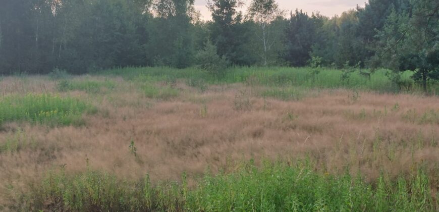 Atrakcyjna działka rolno-budowlana 90 ar Ruda